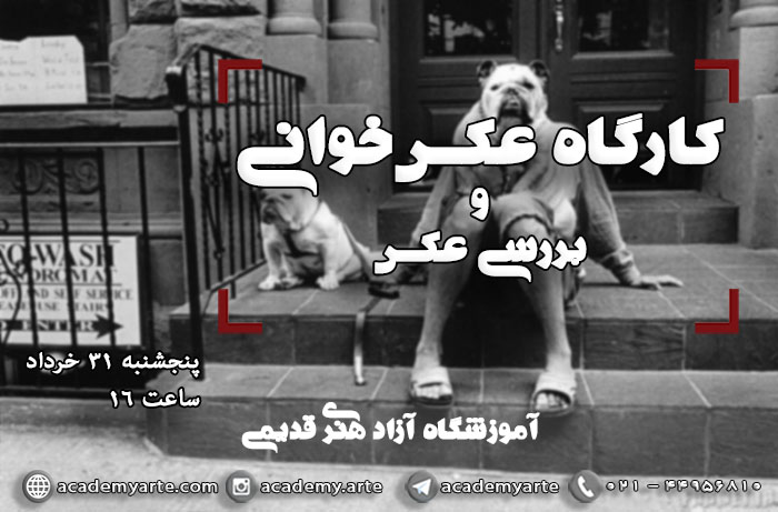 کارگاه تخصصی عکسخوانی و نقد و بررسی عکس
